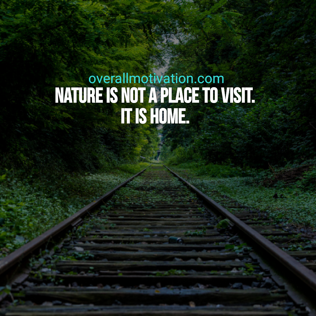 best nature quotes nature is not place to visit