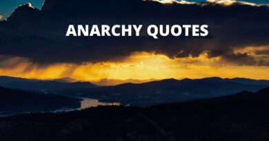 ANARCHY QUOTES FEATURE