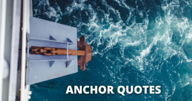 Anchor Quotes featured
