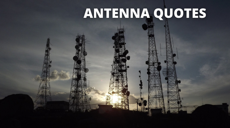 ANTENNA QUOTES FEATURED