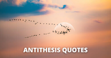 ANTITHESIS QUOTES featured