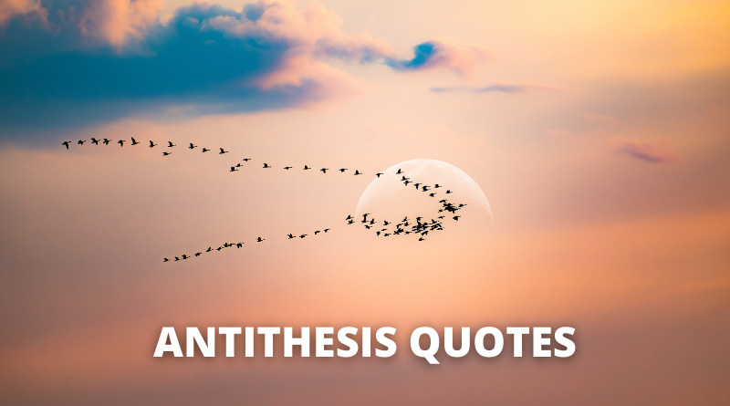 ANTITHESIS QUOTES featured