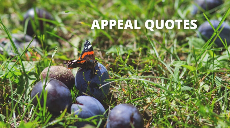APPEAL QUOTES FEATURED
