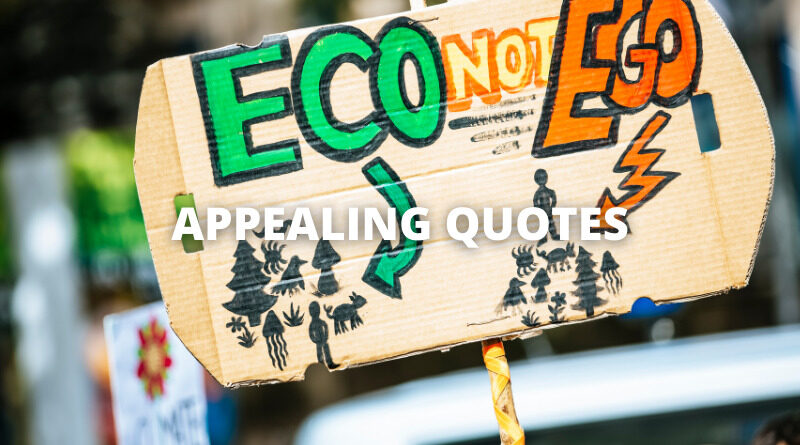 APPEALING QUOTES featured