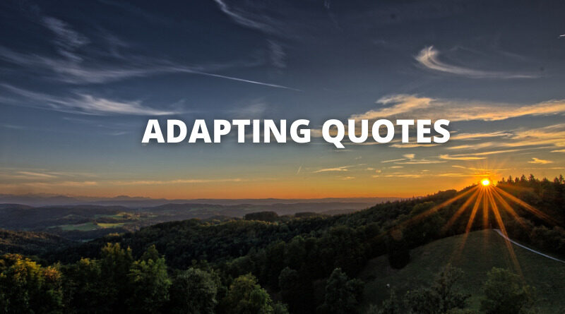 Adapt Quotes featured
