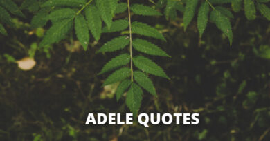 Adele Quotes featured