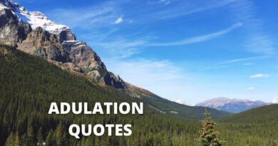 Adulation quotes featured