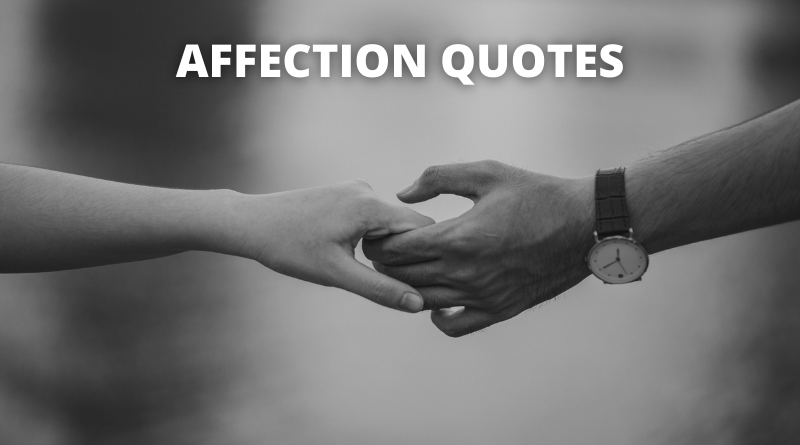 Affection Quotes Featured