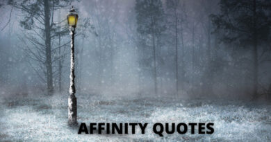 Affinity Quotes Featured