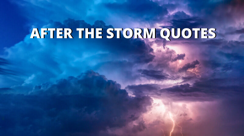 After The Storm Quotes Featured