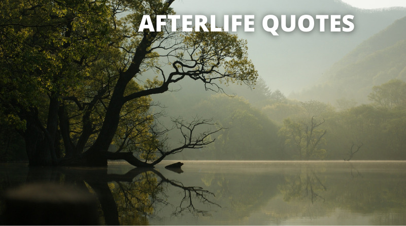 Afterlife Quotes featured