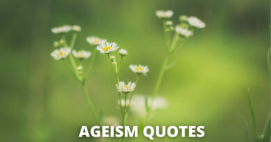 Ageism Quotes featured