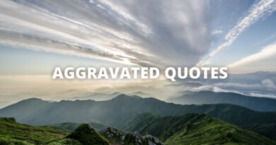 Aggravated Quotes featured