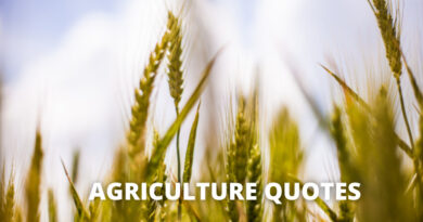 Agriculture Quotes featured