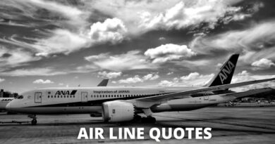 Airline Quotes featured