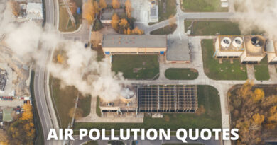Air pollution Quotes featured