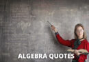 Algebra Quotes featured