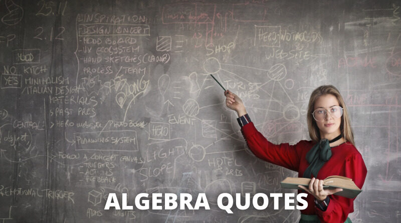 Algebra Quotes featured
