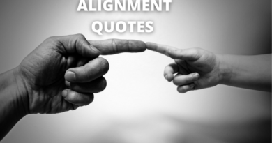 Alignment Quotes featured