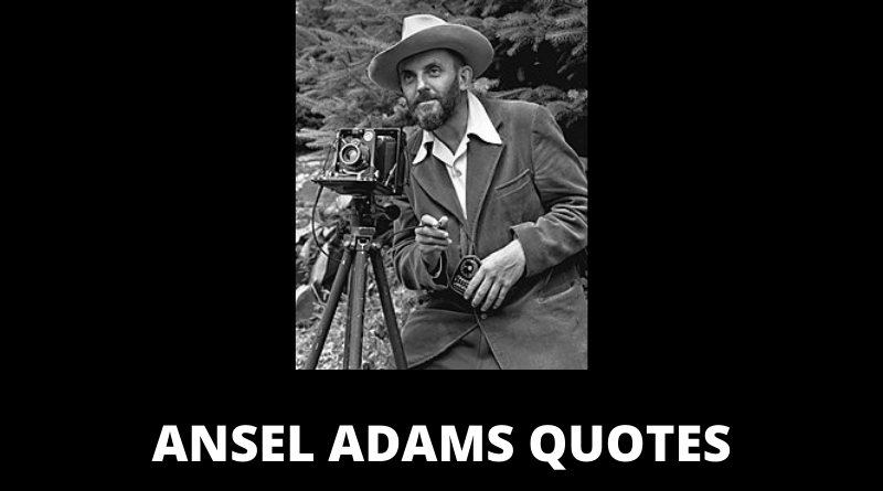 Ansel Adams quotes featured