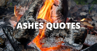Ashes Quotes featured