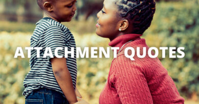 Attachment Quotes featured