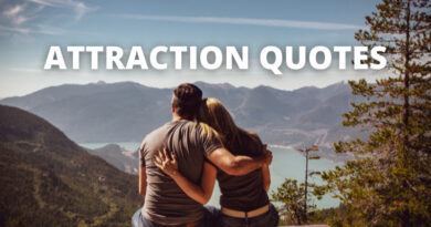 Attract Quotes featured