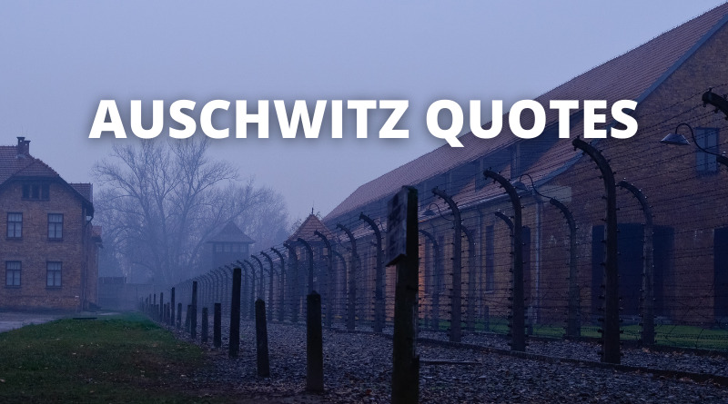 Auschwitz Quotes featured