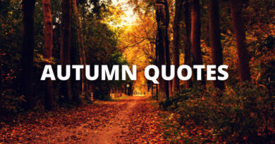 Autumn Quotes featured