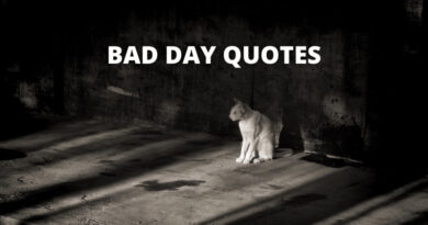 BAD DAY QUOTES FEATURE