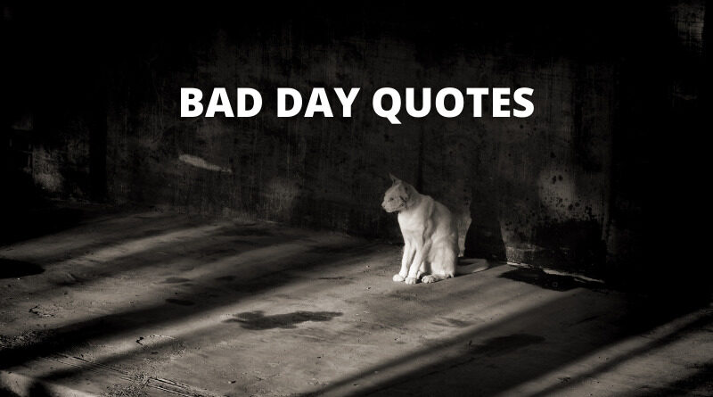 BAD DAY QUOTES FEATURE