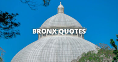 BRONX QUOTES featured