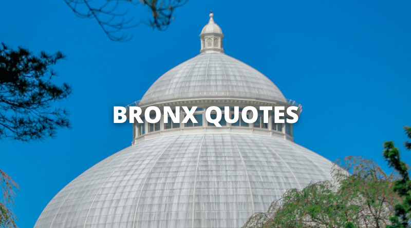 BRONX QUOTES featured