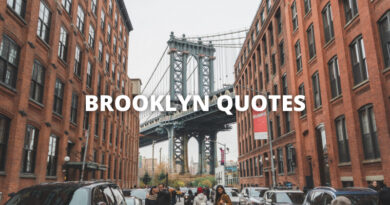 BROOKLYN QUOTES featured