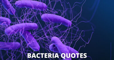 Bacteria quotes featured