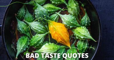 Bad taste quotes featured