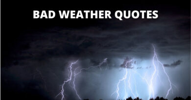 Bad weather quotes featured