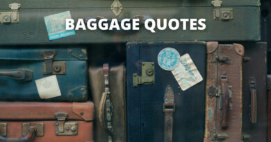 Baggage quotes featured