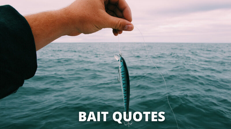 Bait quotes featured