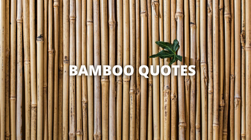Bamboo quotes featured
