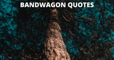 Bandwagon Quotes featured