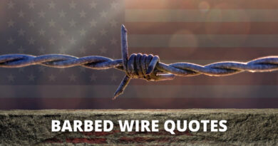 Barbed Wire quotes featured