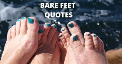 Bare Feet quotes featured