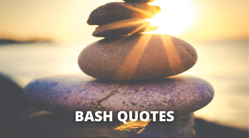 Bash quotes featured