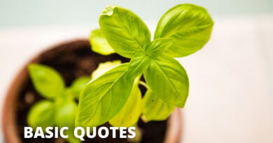 Basic quotes featured