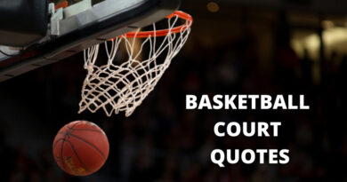 Basketball Court Quotes Featured