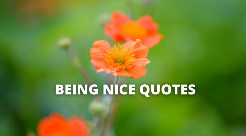 Being Nice Quotes featured