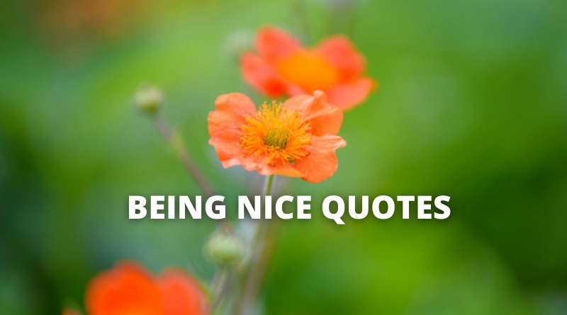 Being Nice Quotes featured