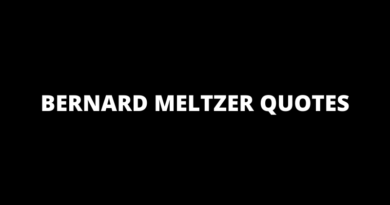 Bernard Meltzer Quotes featured