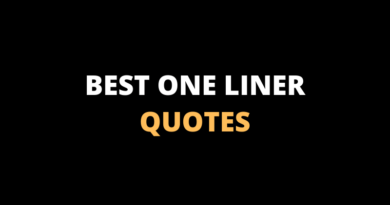 Best One Liner Quotes featured